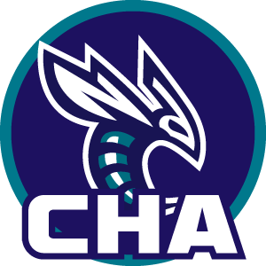 黄蜂logo